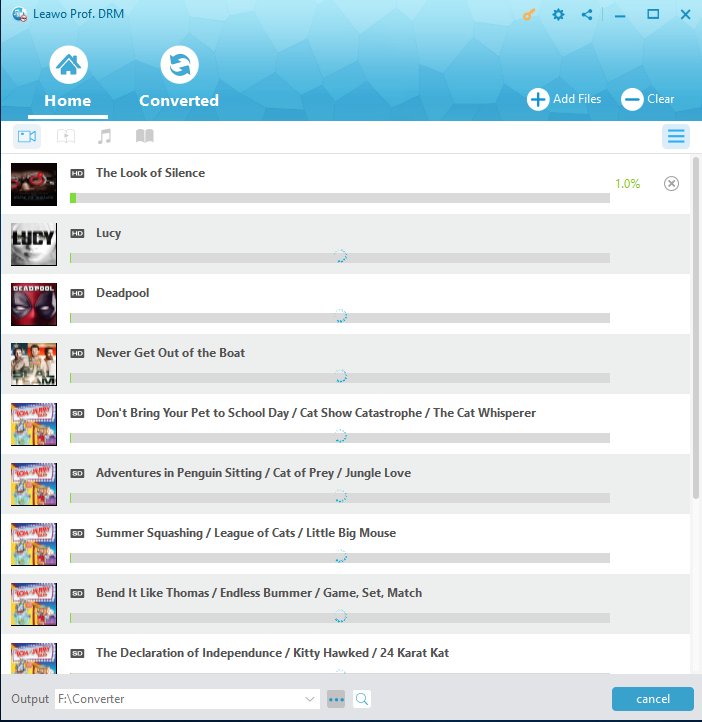 removing DRM protection process