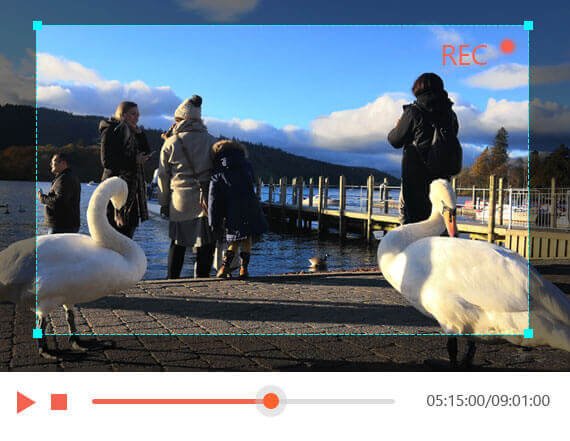 capture screen video